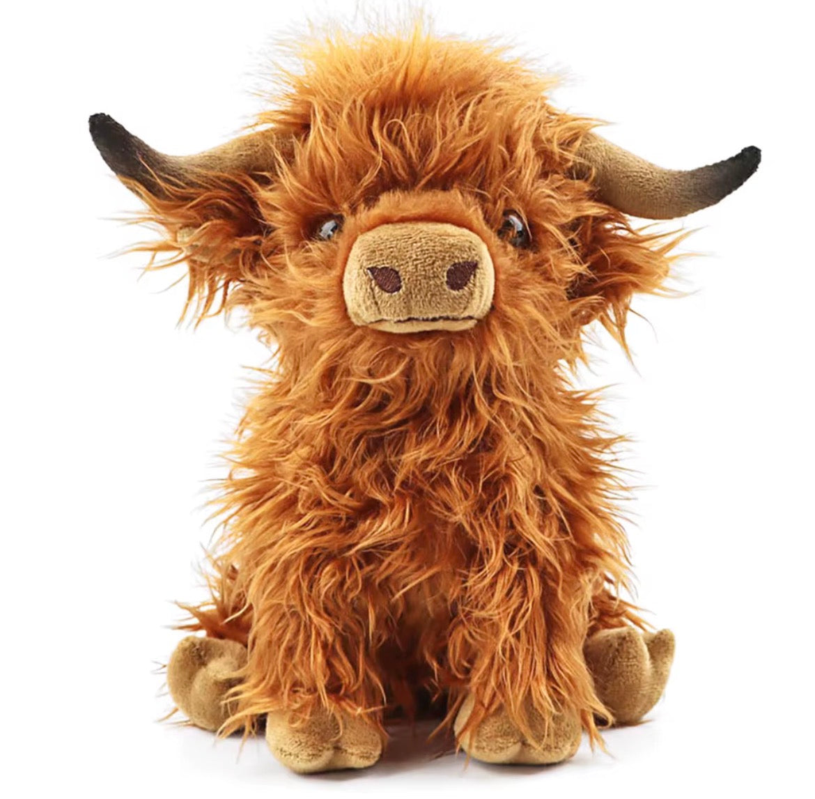Hugs From The Highland, Highland Cow