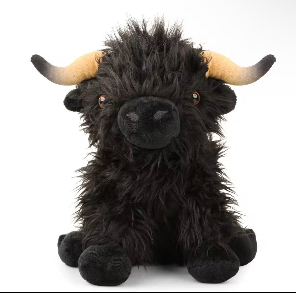 Hugs From The Highland, Black Highland Cow