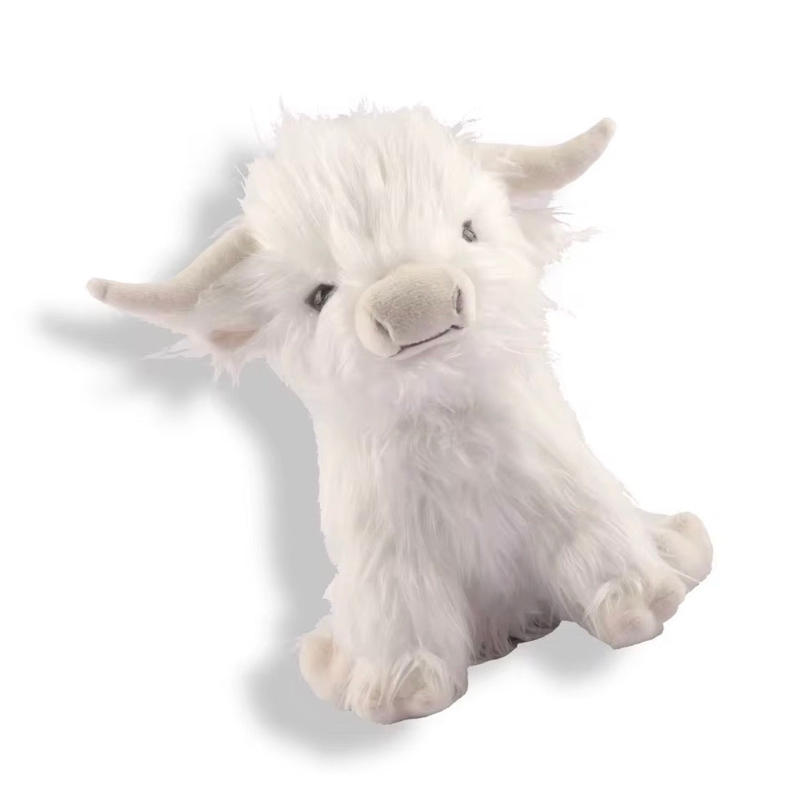 Hugs From The Highland, White Highland Cow